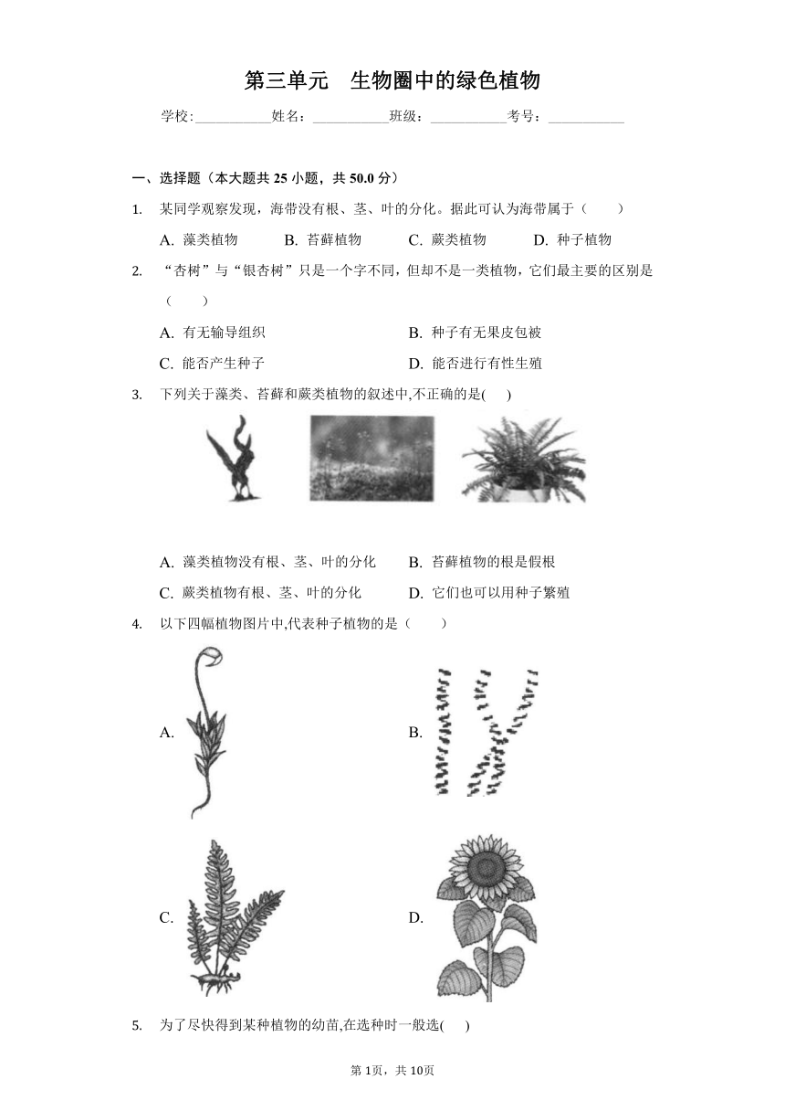 2022-2023学年人教版生物七年级上册单元强化练习第三单元生物圈中的绿色植物(word版含答案）