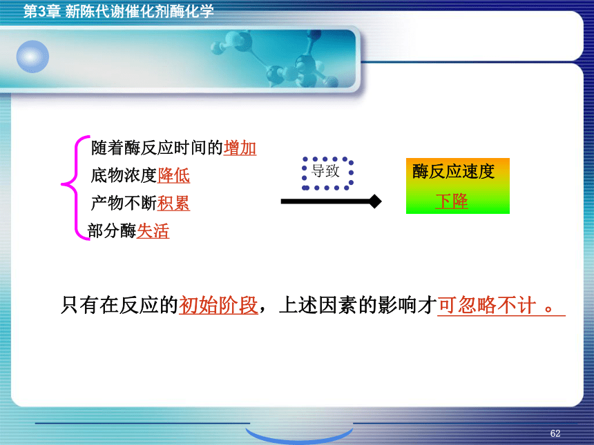 3.4酶促反应的动力学 课件(共41张PPT)- 《环境生物化学》同步教学（机工版·2020）