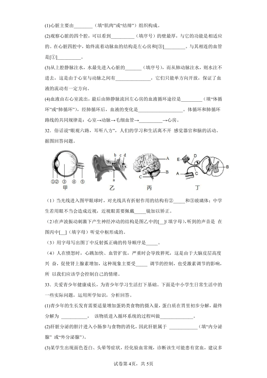 宁夏中卫市中宁县2022-2023学年八年级上学期期末生物试题(含答案)