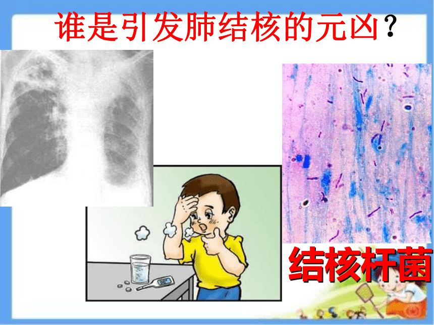 人教版七年级体育 1.4常见传染病的预防 课件（25ppt）