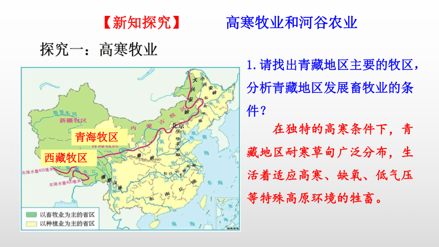 9.1自然特征与农业（第2课时高寒牧区和河谷农业区）课件-2021-2022学年人教版地理八年级下册（共22张PPT）