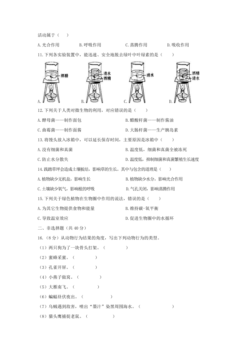 【期末复习】生物八年级上册  期末模拟卷（基础卷）（原卷+答题纸+答案）