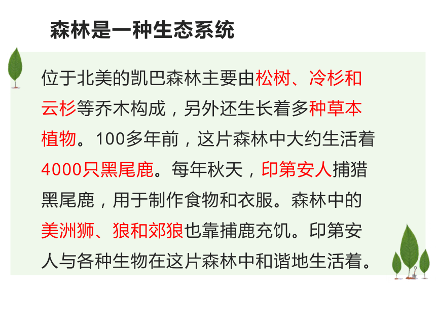 23.2生态系统概述课件(共29张PPT)