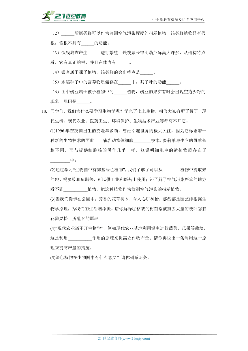 苏教版初中生物八年级上册14.1五彩缤纷的植物世界同步练习（含答案解析）