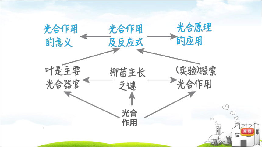 第25课时　绿色植物的生理作用-2022年福建中考生物考点突破课件（共36张PPT）