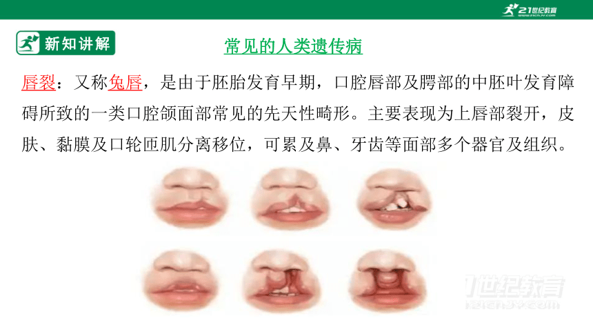 济南版4.4.5 人类优生与基因组计划-2022-2023学年八年级生物上册同步课件（共33页ppt）