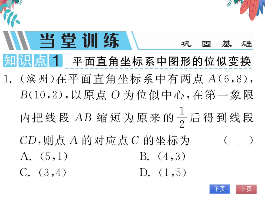 【沪科版】数学九年级上册 22.4 图形的位似变换 第2课时 习题课件
