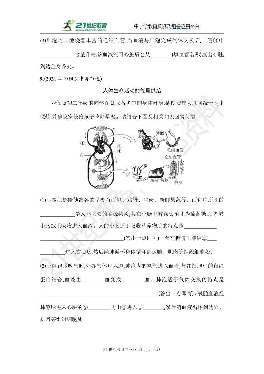 人教版生物七年级下册期末专项复习（二）人体内物质的吸收和运输（含答案解析）