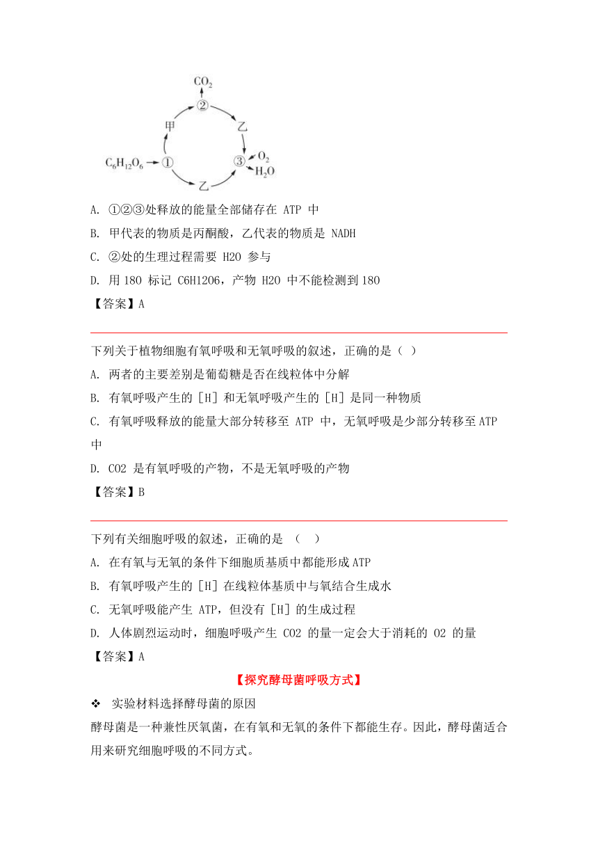 人教版（2019）必修一-《细胞的能量供应和利用》-“细胞呼吸”章节重点归纳&典例示范学案（含答案）