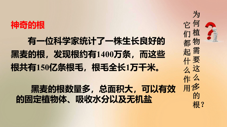 2021—2022学年人教版生物七年级上册3.2.2植株的生长 课件(共18张PPT)