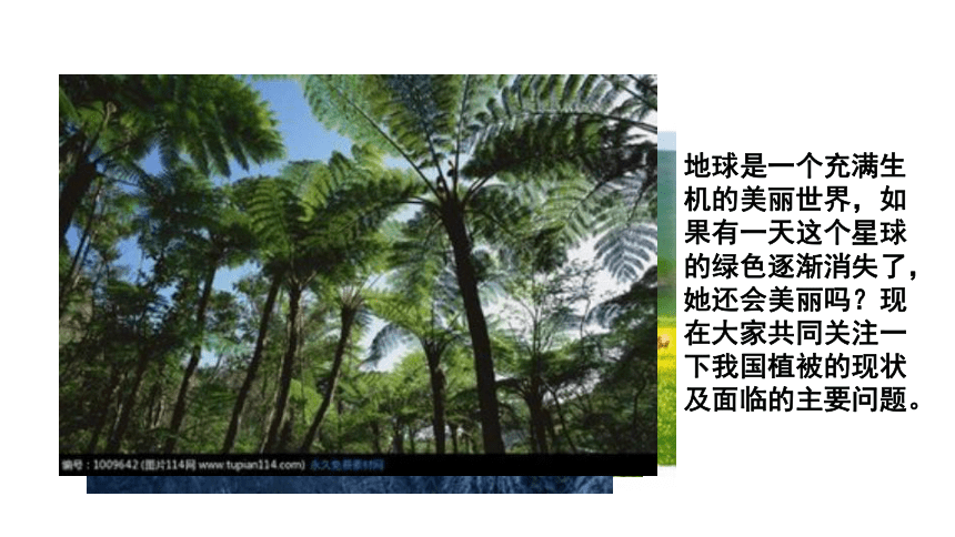 第六章 爱护植被，绿化祖国课件(共35张PPT)