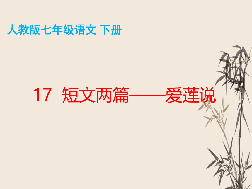 17 短文两篇——爱莲说 课件（共36张PPT）