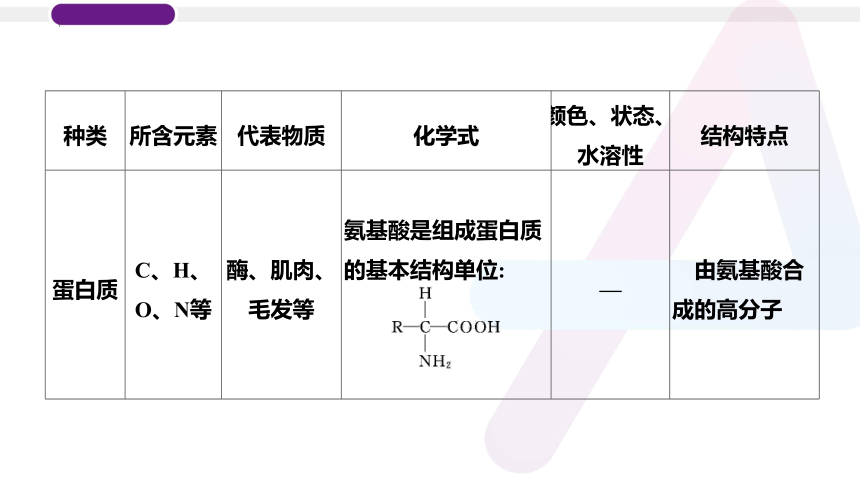 2023年普通高中化学学业水平考试学考复习——专题19　基本营养物质（14张ppt）