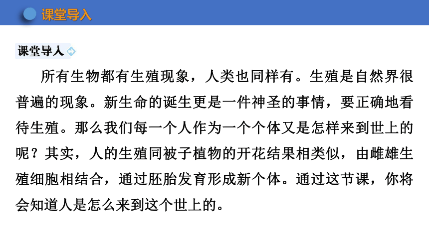 7.21.1 人的生殖 课件(共29张PPT) 2023-2024学年苏科版生物八年级上册