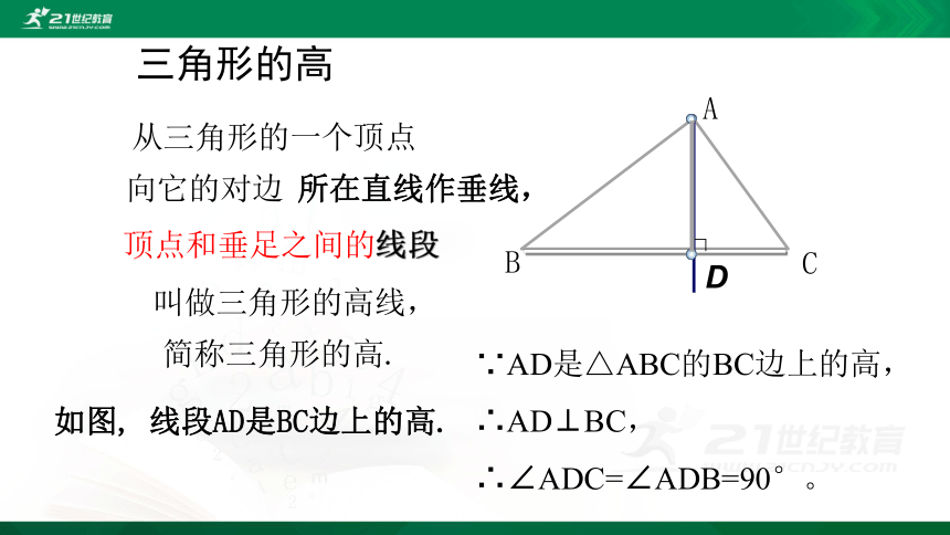 4.1.4 认识三角形及内角和三角形的高 课件（共30张PPT）