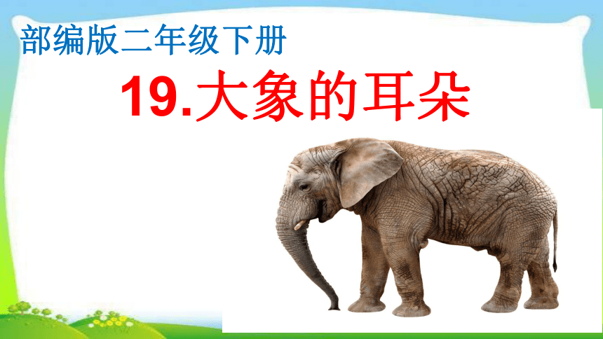 19  大象的耳朵 （课件）(共31张PPT)