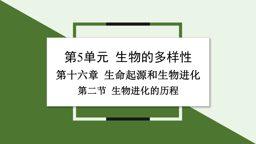 5.16.2 生物进化的历程课件(共18张PPT)2023-2024学年初中生物苏教版八年级上册