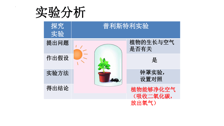 3-4-1植物的光合作用课件 (共18张PPT)2022-2023学年苏科版生物七年级上册