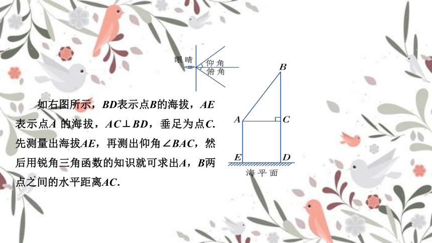 青岛版九年级上册2.5.1  解直角三角形的应用课件(共15张PPT)