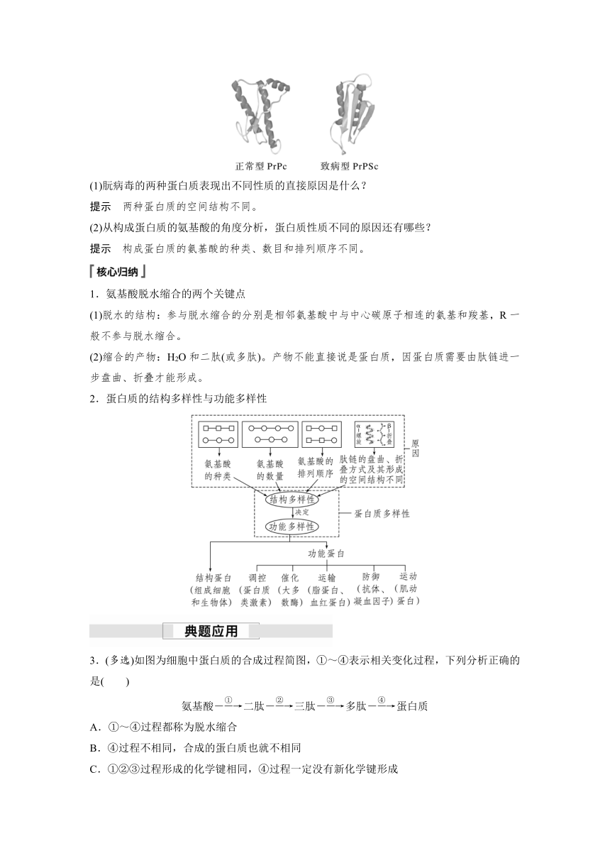 2022-2023学年苏教版2019高中生物必修1 第一章 第三节 第1课时　细胞的功能主要由蛋白质完成（学案+课时对点练 word版含解析）