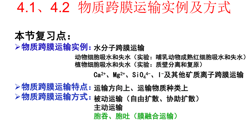 【备考2022一轮复习】&1.4 物质跨膜运输实例及物质运输方式（共52张ppt）