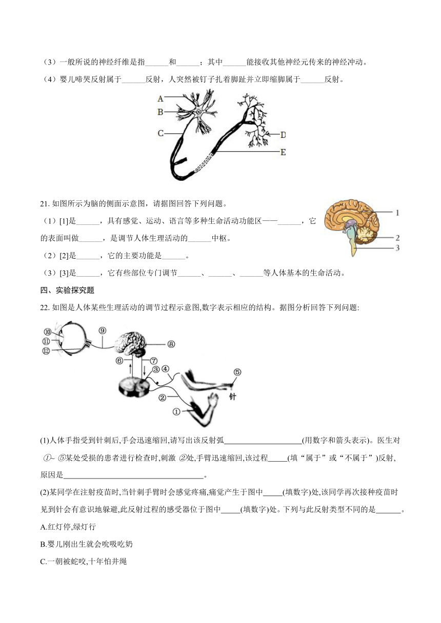 4.12.2 人体的神经调节2024年同步练习卷(含解析)苏教版七年级下册