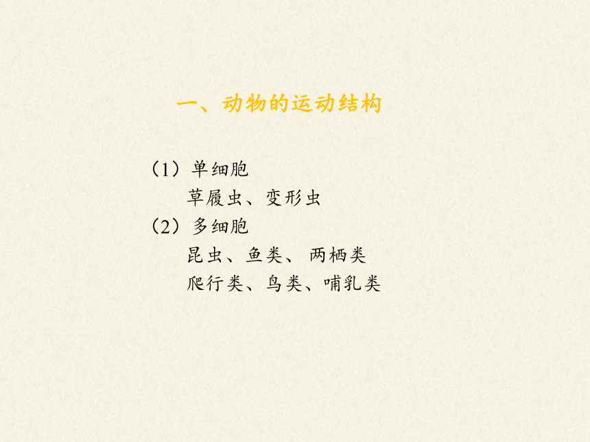 苏教版八年级生物上册 17.2  动物运动依赖于一定的结构(7) 课件(共16张PPT)