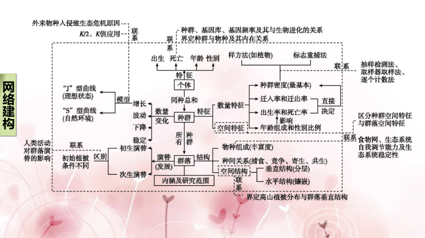 【二轮专题复习课件】第12讲　种群和群落(共62张PPT)