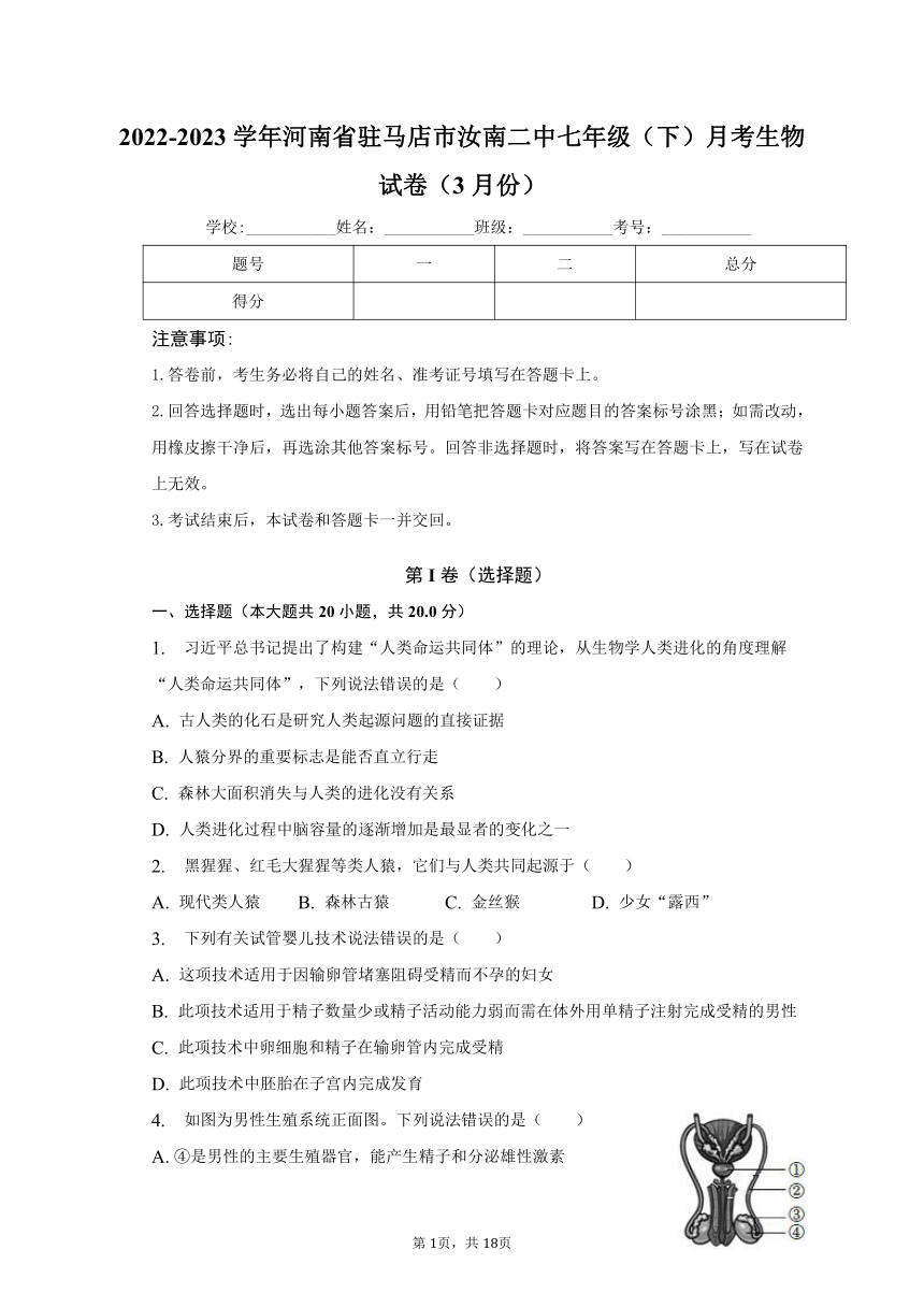 2022-2023学年河南省驻马店市汝南二中七年级（下）月考生物试卷（3月份）（含解析）