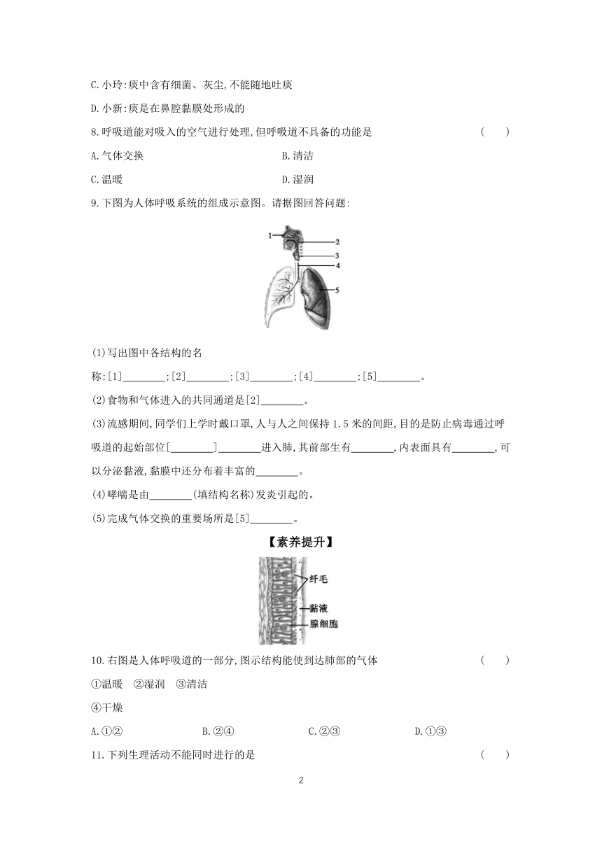 4.3.1 呼吸道对空气的处理 分层作业 （含答案）初中生物人教版七年级下册