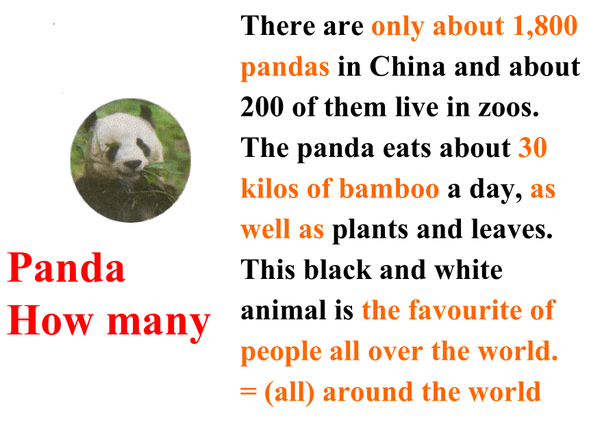 Module 6 A trip to the zoo Unit 3 Language in use.课件