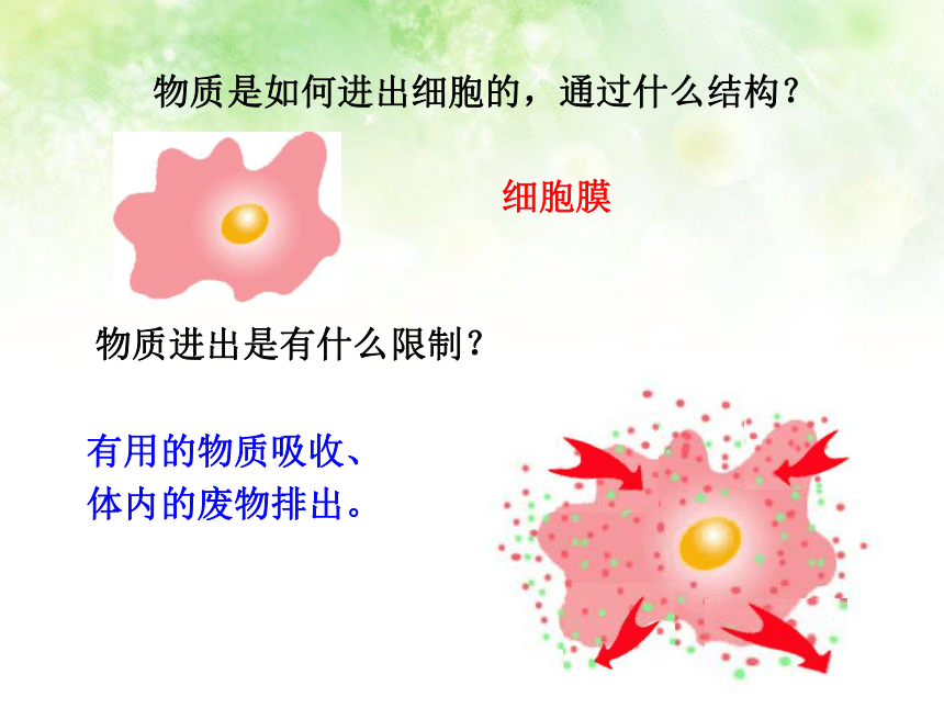 2.3.2细胞是生命活动的单位1北师大版七年级上册生物课件（共16张PPT）