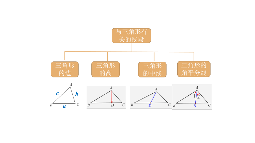 2021--2022学年人教版八年级数学上册11.1.4与三角形有关的线段的综合运用课件（24张PPT）