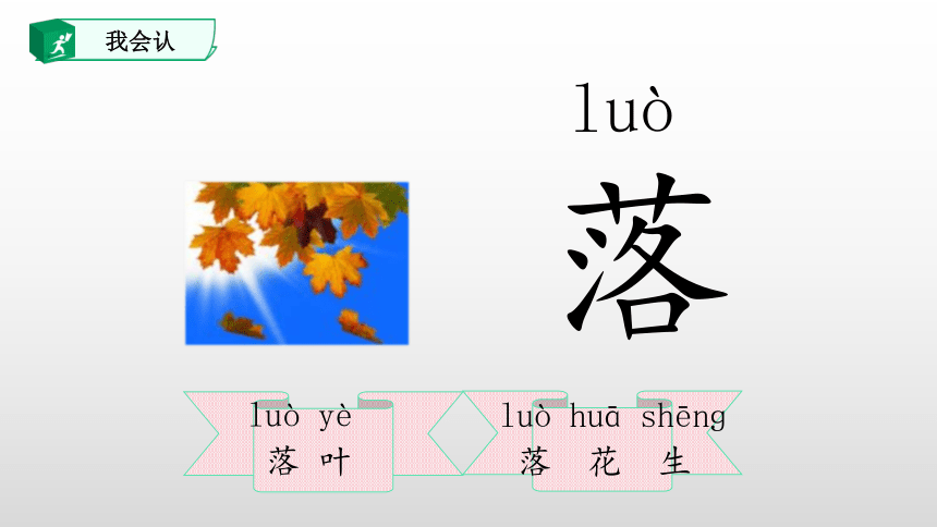 1.春夏秋冬 课件(共47张PPT)