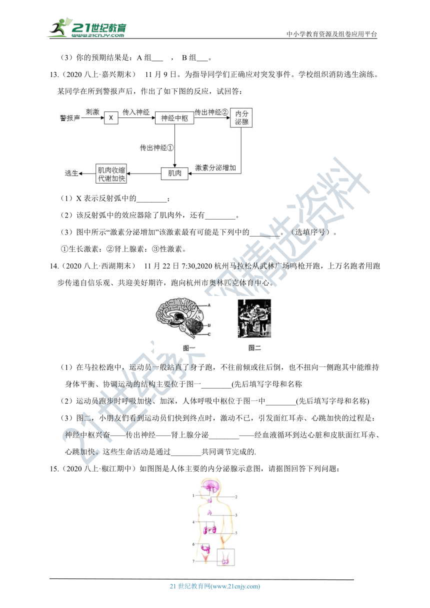 【章末题型强化训练】浙教版8年级上册 第3章 生命活动的调节 填空题（含答案）