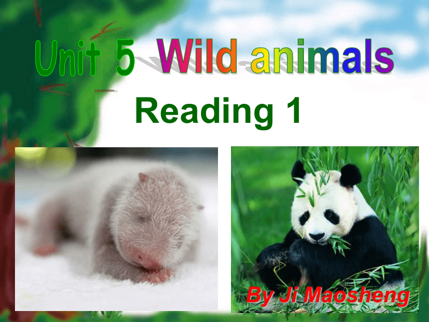 Module 2 Amazing things Unit 5 Wild animals Reading 1 课件（28张PPT）2022-2023学年牛津上海版八年级英语上册