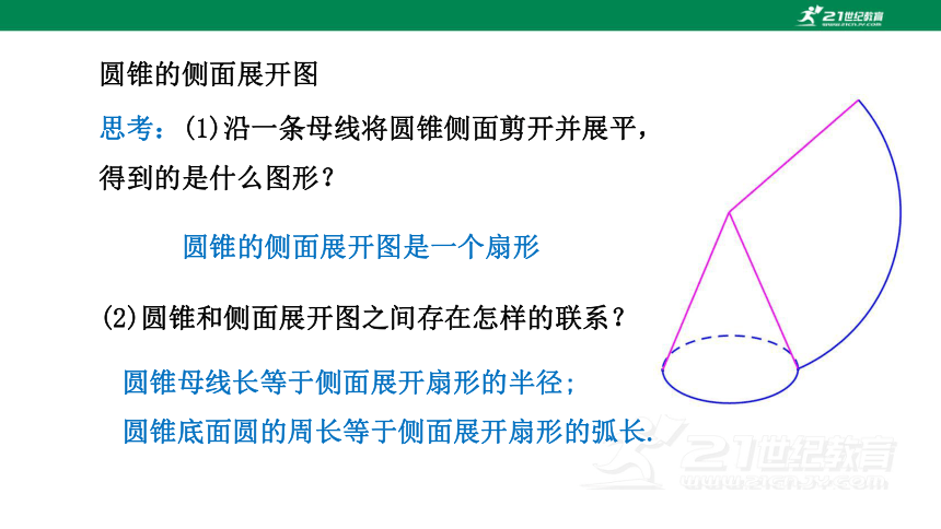 24.4.2 圆锥的侧面积和全面积  课件（共25张PPT）