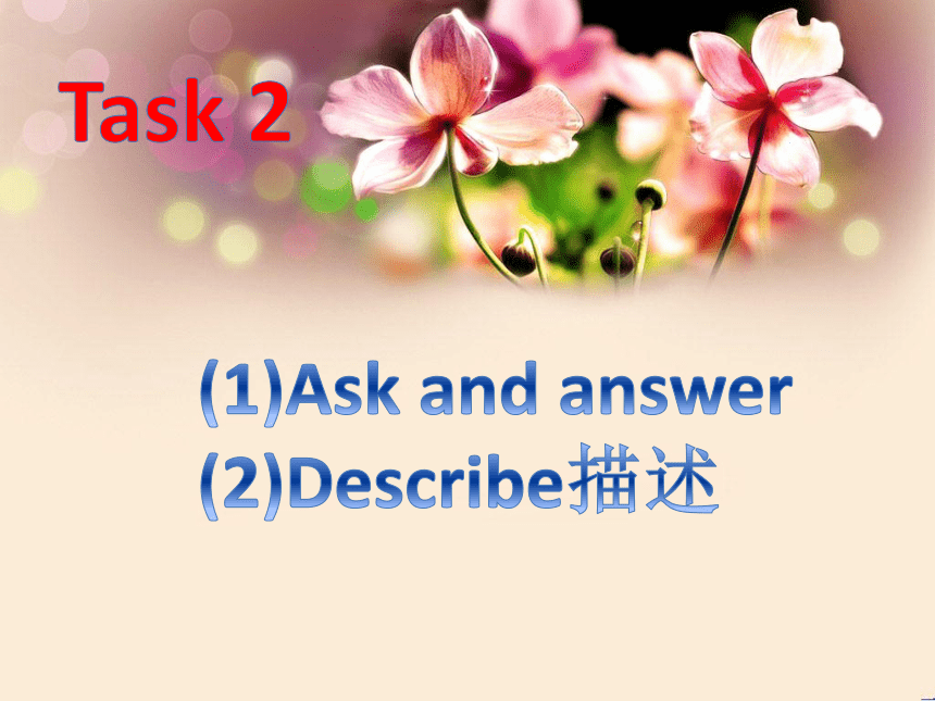 Unit6 Would you like to take a trip？(Lesson36) 课件（共18张PPT）