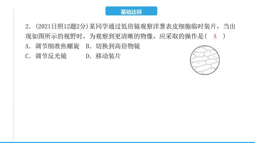 第二单元 第一章　细胞是生命活动的基本单位-2023年中考生物复习习题课件(共15张PPT)