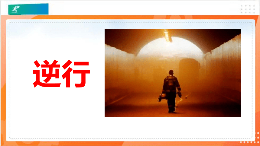 14蜜蜂   课件（共56张PPT）