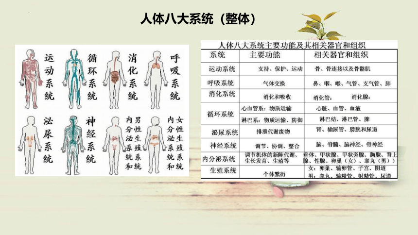 1.2 全面发展体能与科学锻炼   课件（76张PPT+内嵌视频）