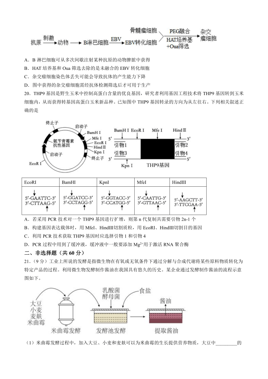 四川省眉山市仁寿县实验中学2023-2024学年高二下学期4月期中考试生物学试题（含答案）