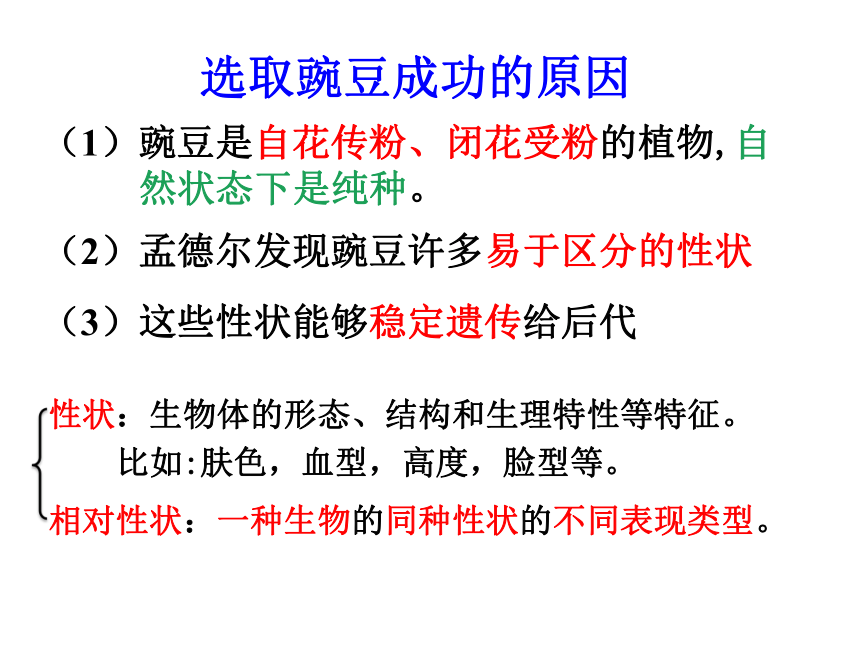 高中人教版生物必修二课件：第1章 第1节《孟德尔豌豆杂交（一）》课件（共31 张PPT）