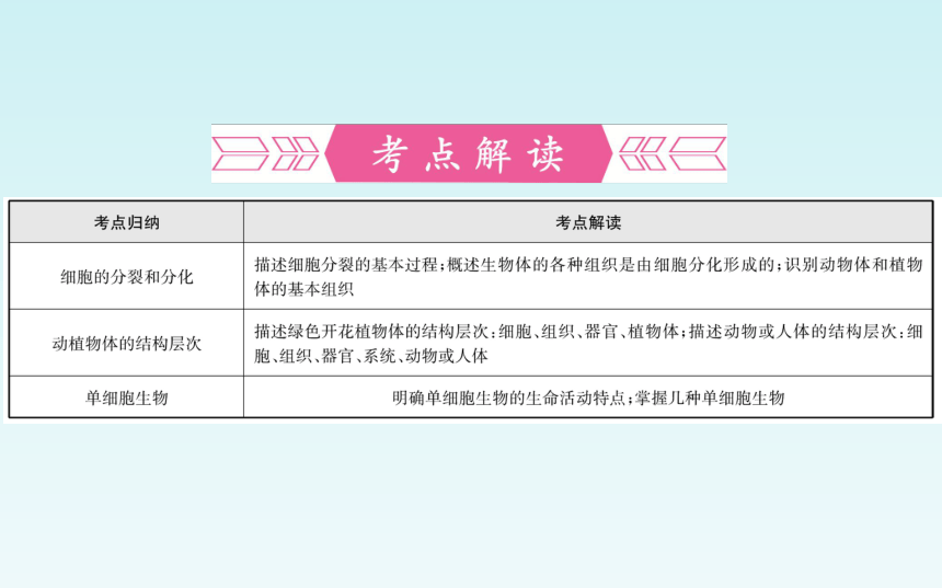 人教版七年级生物上册第二单元_第二章 细胞怎样构成生物体 复习课件（共27张PPT）