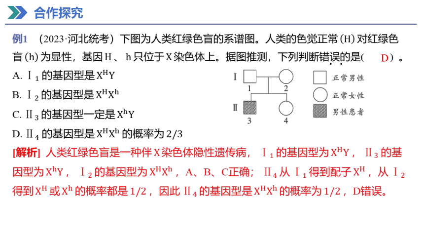 2.3 伴性遗传 课件(共40张PPT) 2023-2024学年高一生物人教版（2019）必修第二册