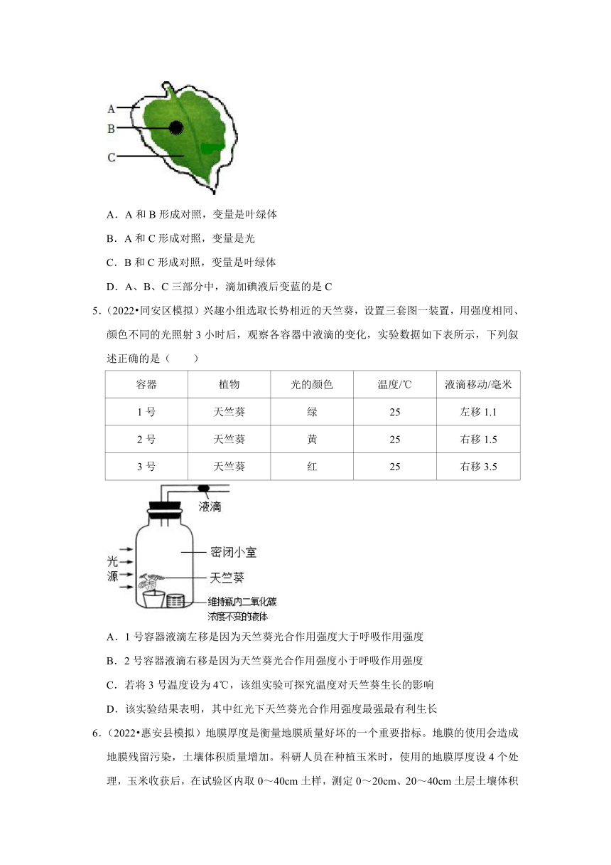 中考专题训练——12生物实验——2023年福建省中考生物（含解析）