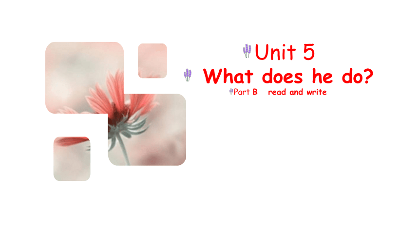 Unit 5 What does he do？ Part B  Read and write 课件（共21张PPT，内嵌音频）