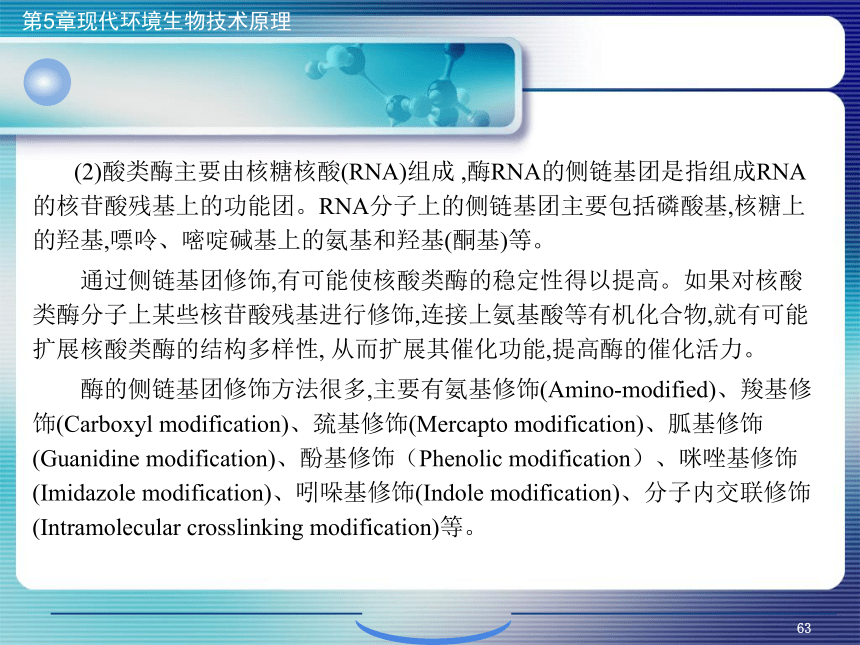 5.现代环境生物技术原理_2 课件(共14张PPT)- 《环境生物化学》同步教学（机工版·2020）