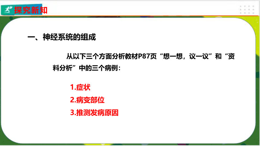 4.6.2神经系统的组成课件(共23张PPT)