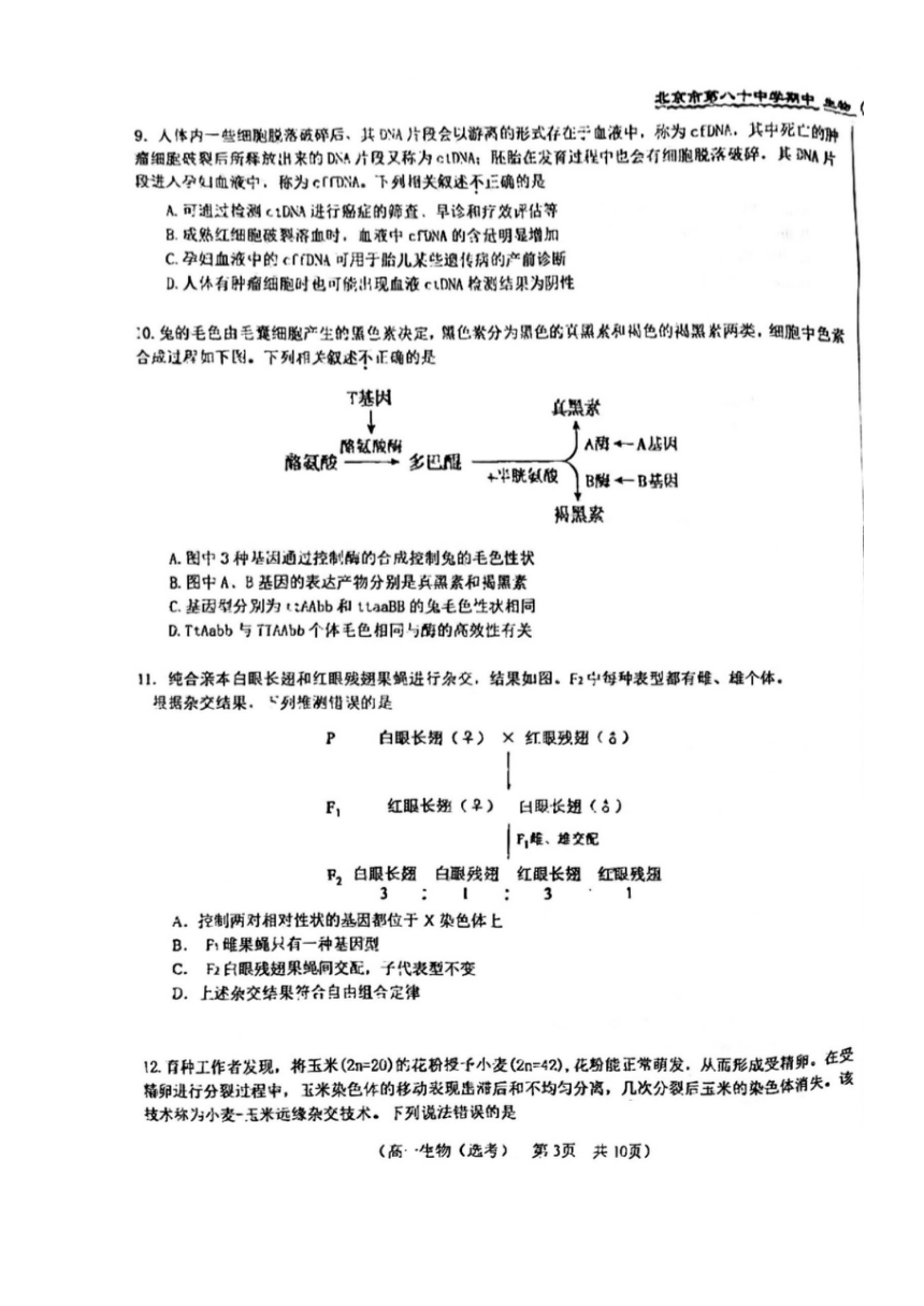 2024北京八十中高一（下）期中生物（选考）（PDF版无答案）